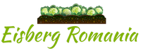 Eisberg Romania